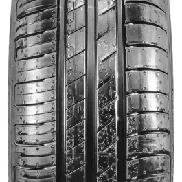 Goodyear EFFIC.GRIP PERF 225/45 R17 91 W  MFS